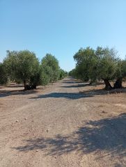 Landgut in A-6076 2