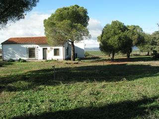 Casa  Calle mayor alta