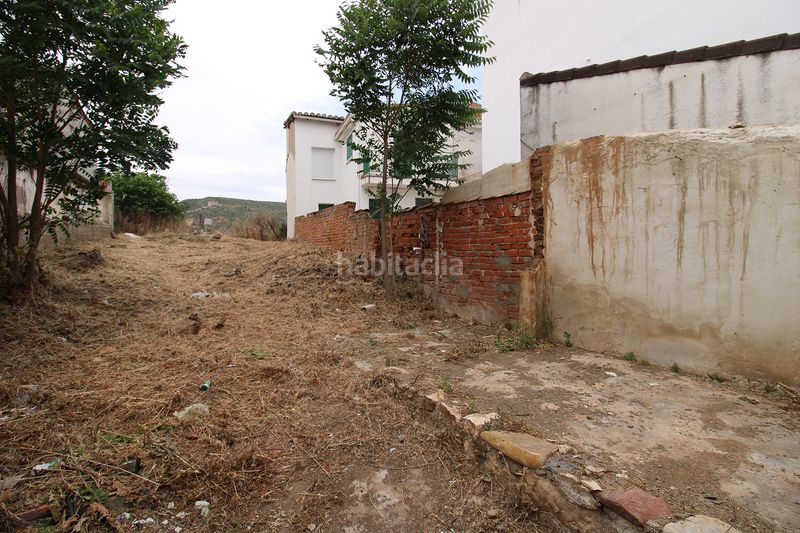 Foto 67f933e3-a50d-4a9a-a5b9-0c82a5899511. Residential plot in Torrelaguna