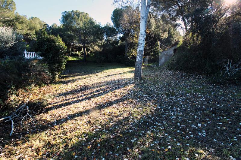 Foto dc90b054-98b7-49a2-a38b-45b8c46ca44c. Residential plot in Uceda