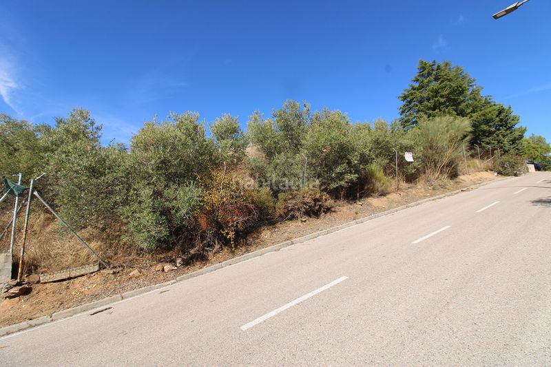 Foto 4c2e47d3-564e-403b-9990-a8f540b1e1c7. Terreno residencial en Uceda