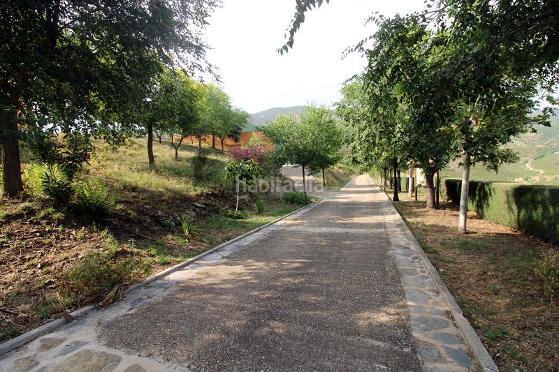 Foto dc125b1e-8547-4ea1-a386-cbccf4a5021e. Casa adossada a Atazar (El)