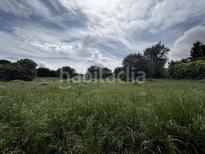 Foto afaa620d-5f35-49fd-9d35-80a7e904fd9d. Terreny residencial a Uceda
