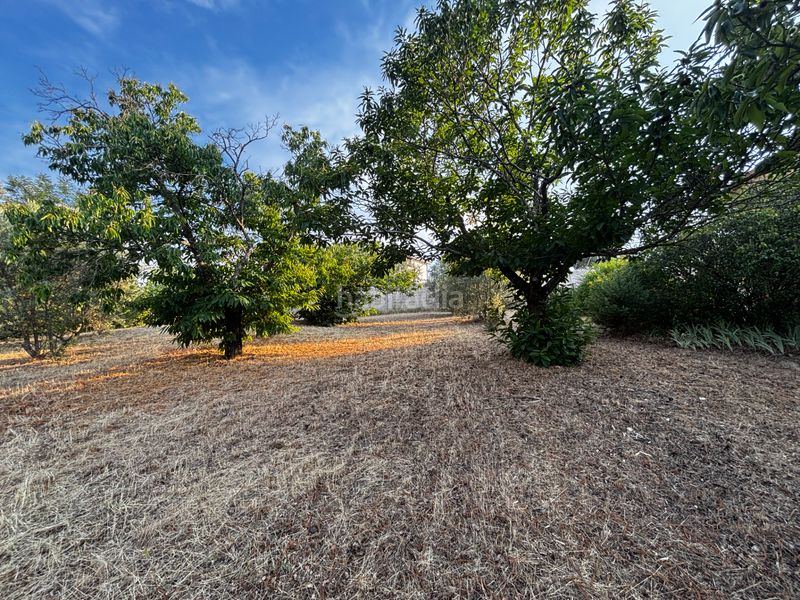 Foto 2684df0b-dc2c-4205-aed3-bd32870b424b. Terreny residencial a Uceda