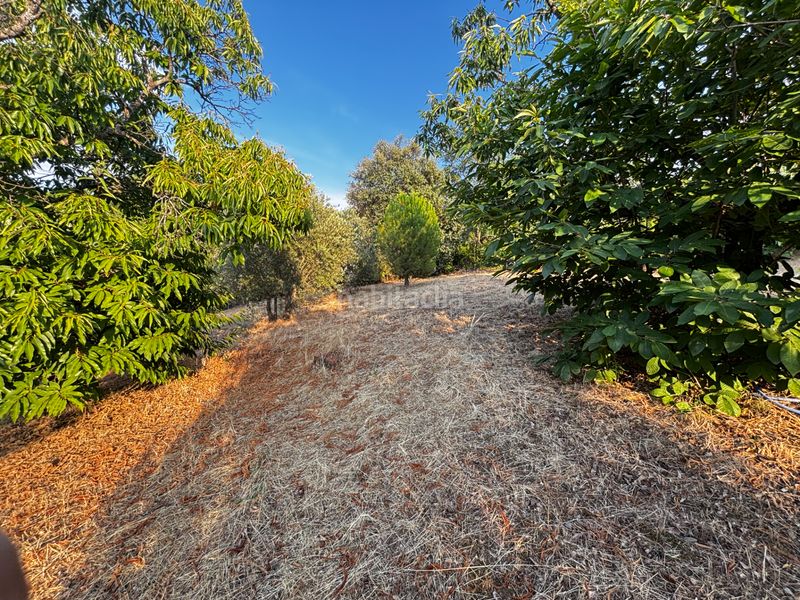Foto c755592f-5be9-41e8-b8fa-f812538ef872. Terreny residencial a Uceda