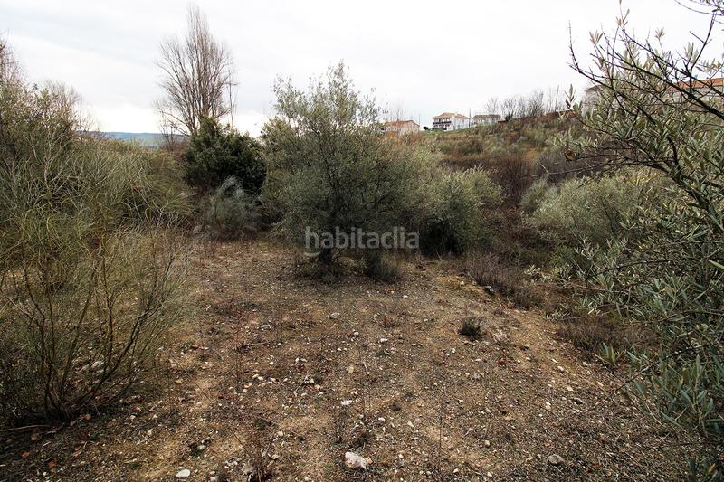 Foto 2c9776a1-4d90-4a3f-9269-aa173397386d. Finca rústica en Vellón (El)