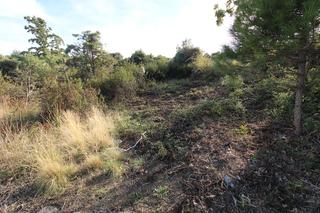 Terrain résidentiel à Berrueco (El)