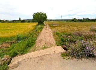 Finca rústica a La Estrella. Finca rústica - logroño (cascajos)