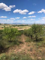 Propriété à Lardero. Finca rústica  con olivos