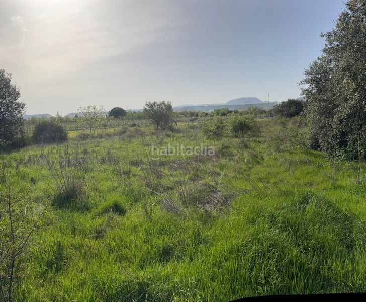 Foto 61953d00-061e-4c76-9027-eaf5150f304d. Finca rústica  - () en Lardero