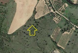 Propriété à Lardero. Finca rústica - lardero ()