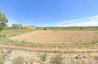 Finca rústica a Viana. Finca rústica - viana ()