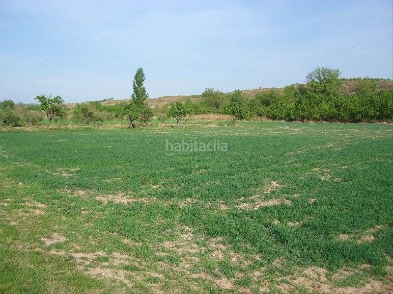 Foto 1df65c29-0b23-4c28-8af4-3ea08b7bf818. Fondo rustico in Ribafrecha