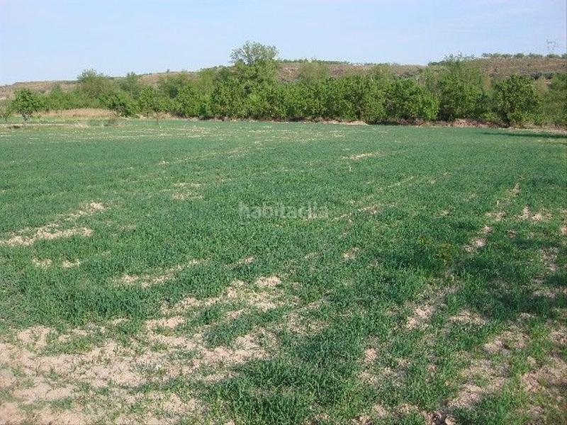 Foto 2bb922a0-f7b8-473b-a89d-39b7d8686e59. Fondo rustico in Ribafrecha