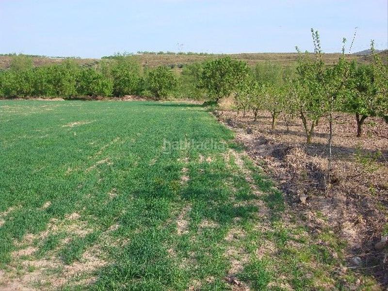 Foto 9886dfce-7433-47c2-bf15-a67bc519eeee. Fondo rustico in Ribafrecha