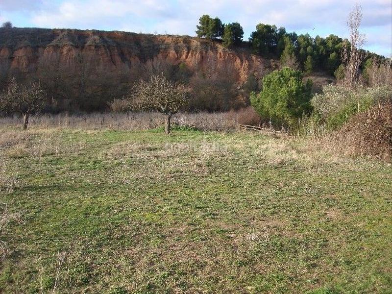 Foto 5732882f-3c91-4b51-b984-6fb1037e21f1. Finca rústica a Murillo de Río Leza