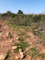 Finca rústica a Entrena. Finca rústica - entrena ()