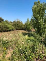 Finca rústica a Entrena. Finca rústica - entrena ()