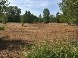 Rural plot in Villamediana de Iregua