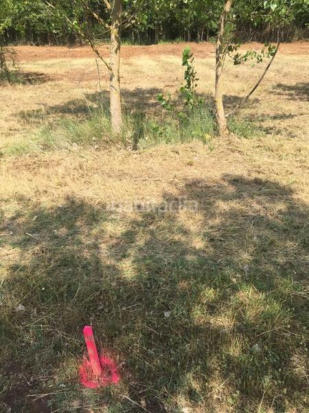 Foto 28f7ea6a-4291-4256-bc75-9df65fe14781. Landgut in Villamediana de Iregua