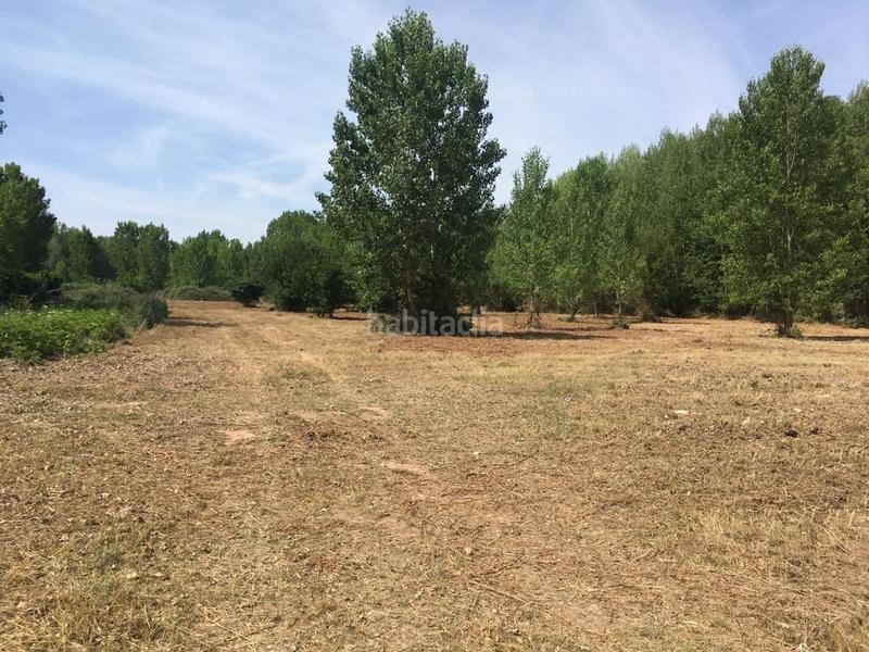 Foto 4a860007-a4a4-450a-a907-1d9f45073424. Landgut in Villamediana de Iregua