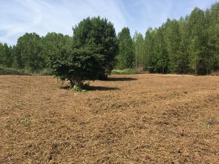 Rural plot in Villamediana de Iregua