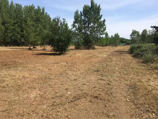 Fondo rustico in Villamediana de Iregua