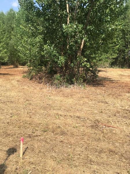 Foto 9d0a6b0b-7ade-4768-beb2-9b8d49a8b6d7. Propriété dans Villamediana de Iregua