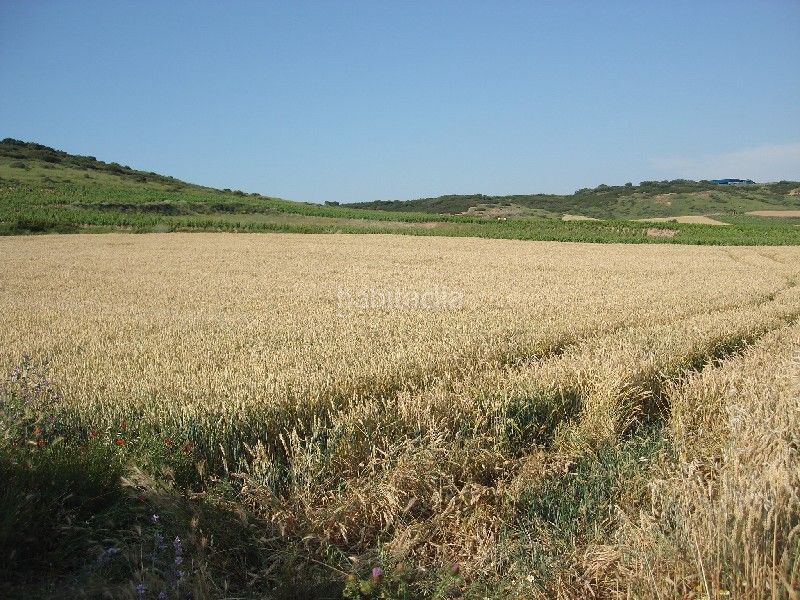 Foto 4cbc35ad-8dbe-408a-be61-19f9f9134f6a. Finca rústica a Villamediana de Iregua