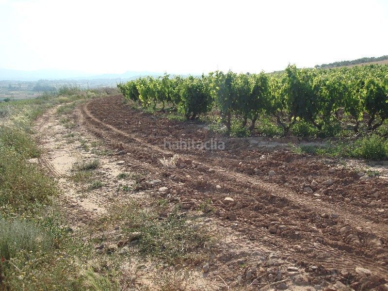 Foto 889352f7-18fa-4a89-8e45-f1044409e515. Finca rústica a Villamediana de Iregua