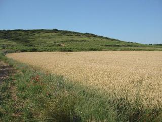Finca rústica en Villamediana de Iregua. Finca rústica - villamediana de iregua ()