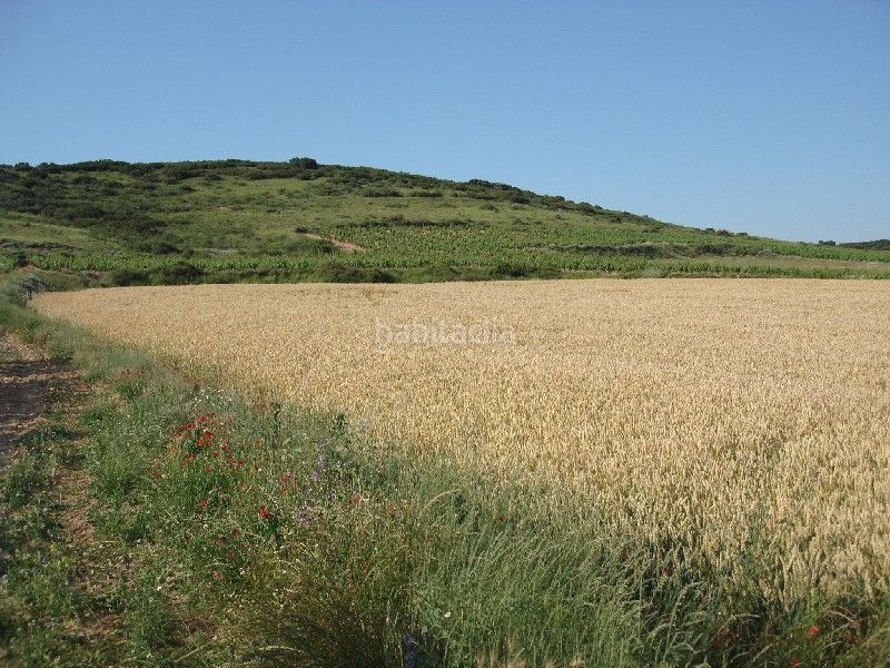 Foto cfe4a31a-3e13-43ae-8787-90e56084c955. Finca rústica a Villamediana de Iregua