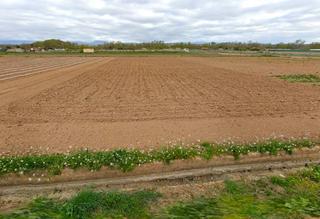 Rural plot in La Portalada - Varea