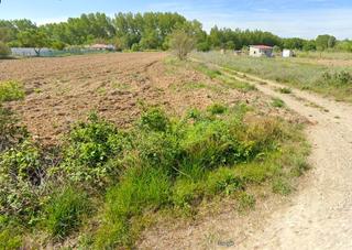 Rural plot in Viana