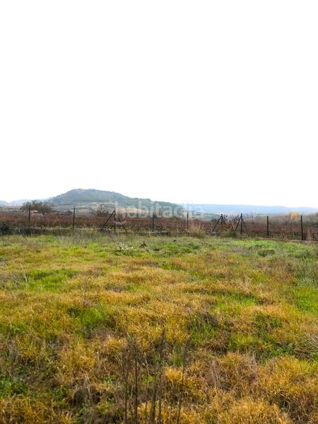 Foto 1e636d06-ecdf-4649-a7f9-6232fbd60e09. Finca rústica a El Cortijo Logroño