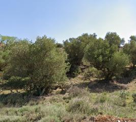 Finca rústica en Villamediana de Iregua