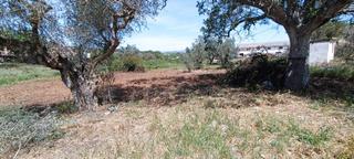 Propriété à Murillo de Río Leza. Finca cerca del pueblo