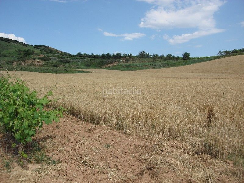 Foto 2f316300-37e9-44fe-8aa1-2b0053406292. Finca rústica a Villamediana de Iregua