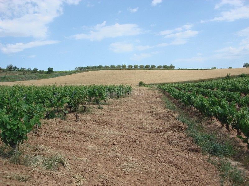 Foto c4bc0c3d-a325-4a38-81a6-9c4e823fbca0. Finca rústica a Villamediana de Iregua