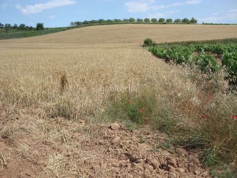 Foto cf50670a-5768-4570-8694-82662f9a0df4. Finca rústica a Villamediana de Iregua