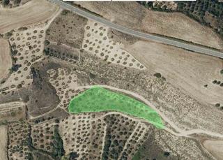 Finca rústica a Armañanzas. Olivar