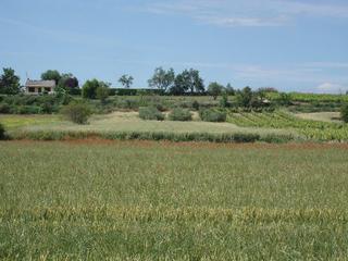 Fondo rustico in Villamediana de Iregua. Finca rústica - villamediana de iregua ()