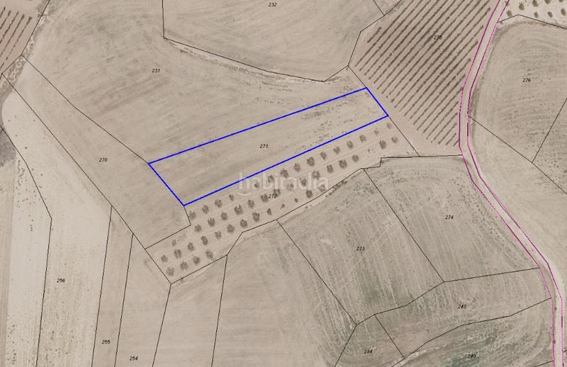 Foto c05e93ab-e7aa-4867-91cc-856ecb585dfd. Propriété dans Ribafrecha