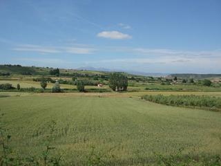 Fondo rustico in Villamediana de Iregua. Finca rústica - villamediana de iregua ()
