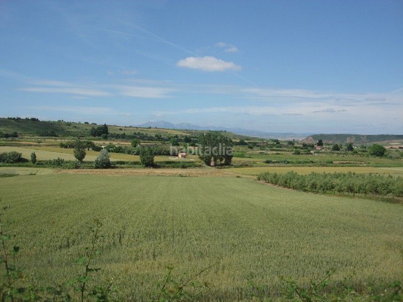 Foto f7bece49-c1b8-4afd-9df6-6875dda79819. Finca rústica a Villamediana de Iregua