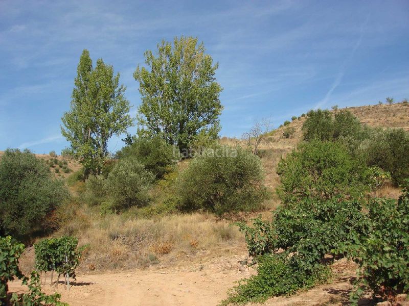 Foto 015fab42-7815-466b-9296-6ed9b4758762. Finca rústica a Villamediana de Iregua