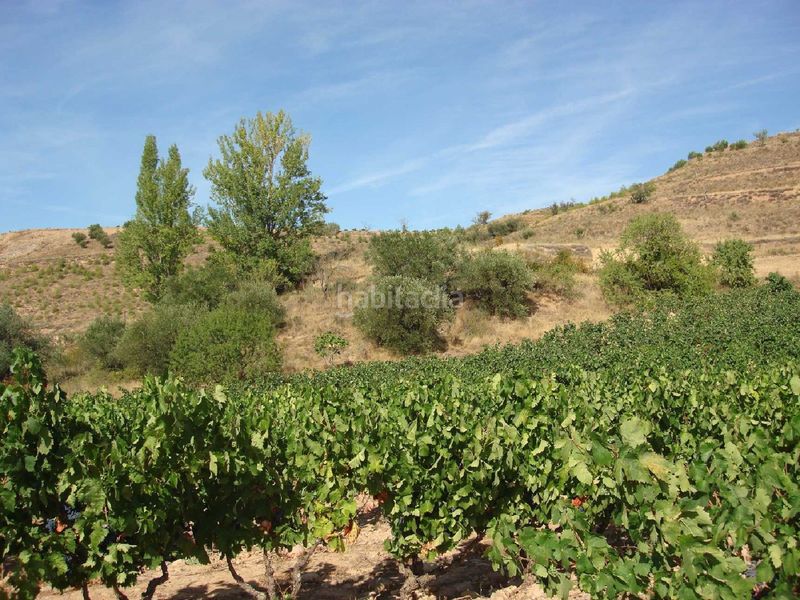 Foto bbd978b9-315d-4cc1-bf1a-c6bba8d80a88. Finca rústica a Villamediana de Iregua