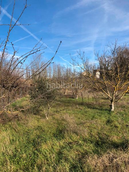 Foto 71593134-69f0-4c0d-bbfa-13c57c1d1f60. Fondo rustico in Murillo de Río Leza