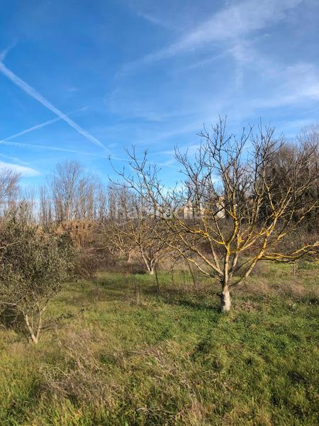 Foto b9ec2728-1429-4f3e-89f6-7dd063e28f2e. Fondo rustico in Murillo de Río Leza