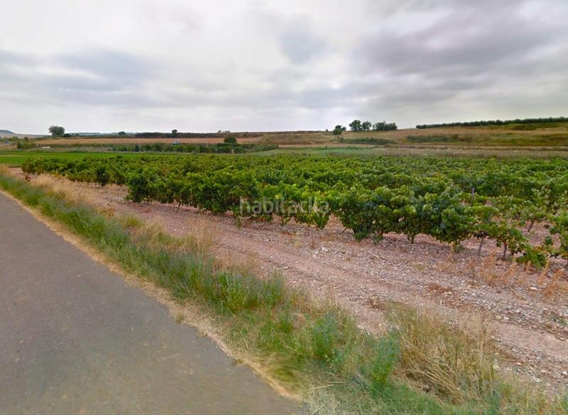 Foto 4a356e48-ca54-4bff-9dbc-9a832031636f. Finca rústica a Alberite